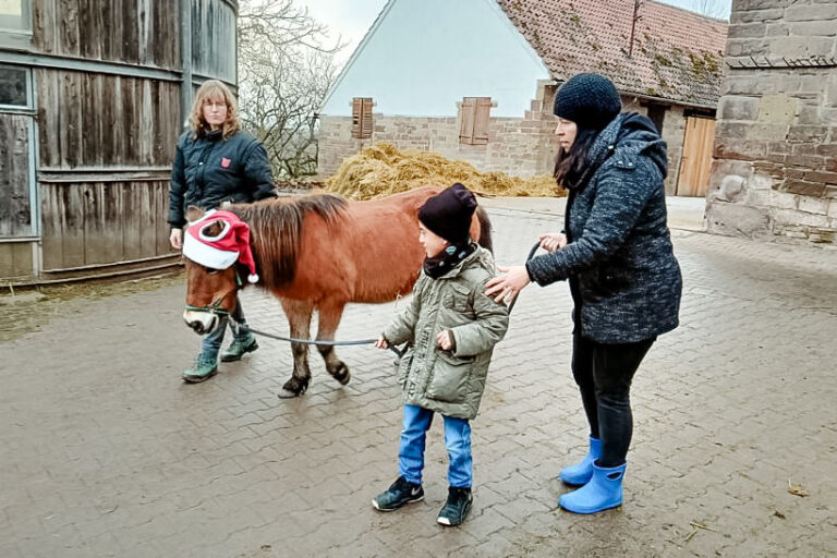 Pferdetherapie auf dem Scheuelberghof Maulbronn